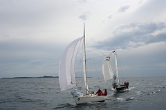 05mai20070259