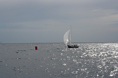 05mai20070270
