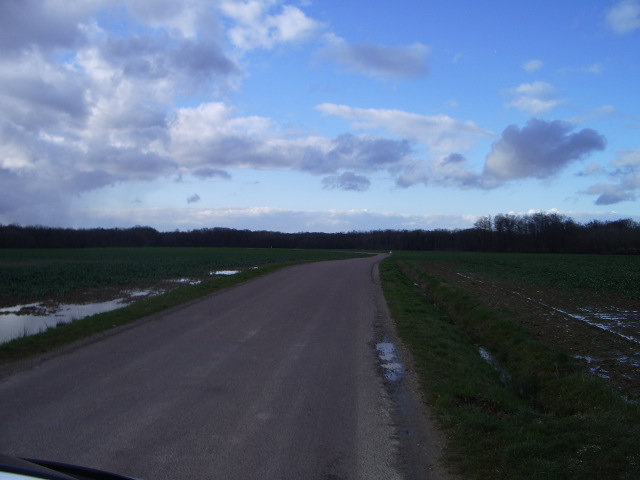IMGP3511.JPG
