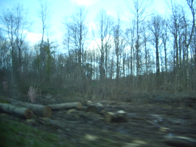 IMGP3513.JPG