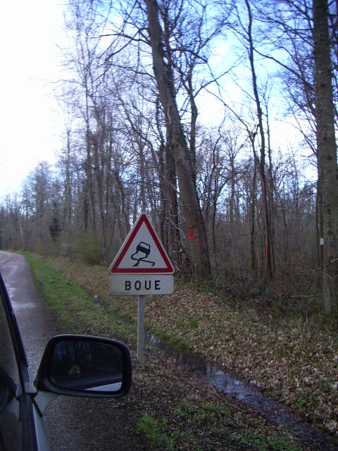 IMGP3515.JPG