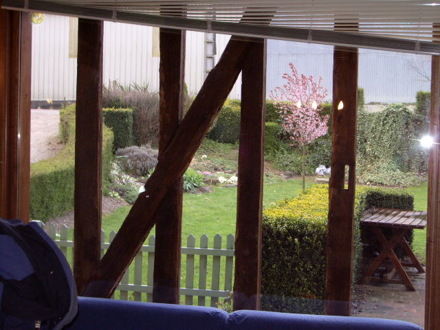 IMGP3535.JPG