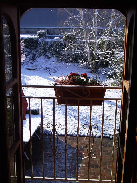 IMGP3574.JPG