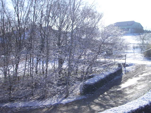 IMGP3575.JPG