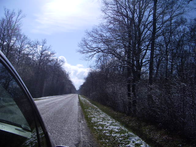 IMGP3579.JPG