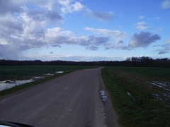 IMGP3511