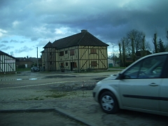 IMGP3517