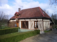IMGP3536