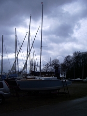 IMGP3540