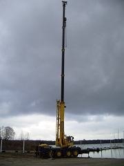 IMGP3545