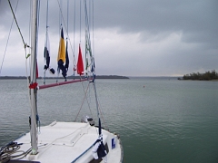 IMGP3549