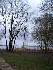 IMGP3550
