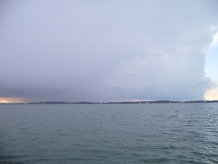 IMGP3568