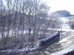 IMGP3575