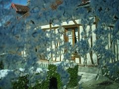 P3240027