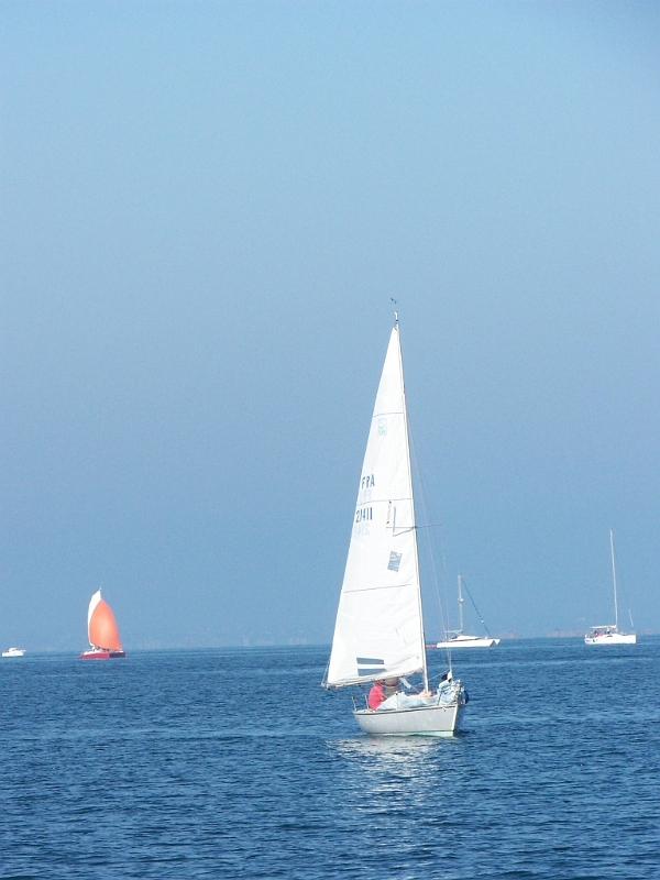 100_4563.jpg