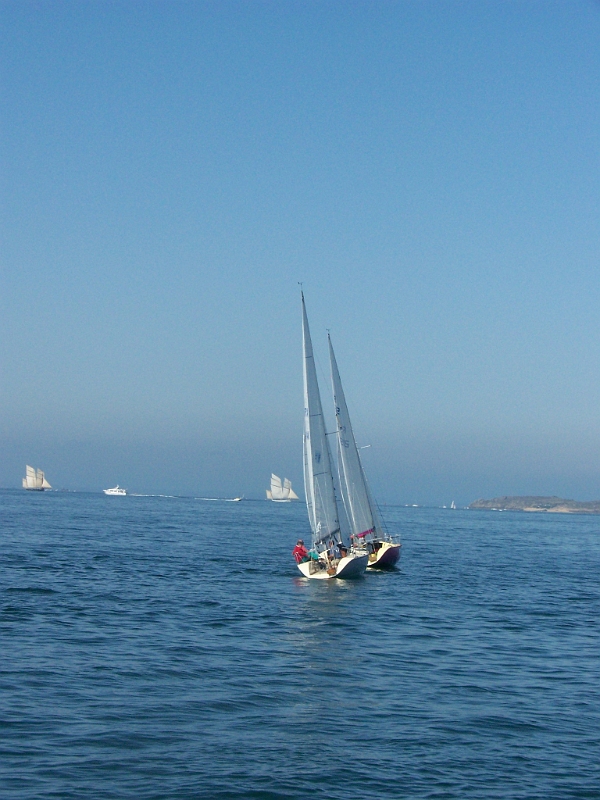 100_4711.jpg