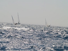 P7140939